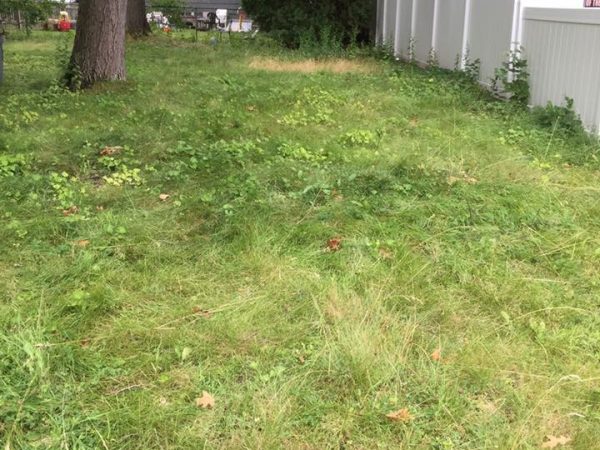 Manchester NH Fall Cleanup, we first start with some basic grass cutting and then a bunch of leaf removal.