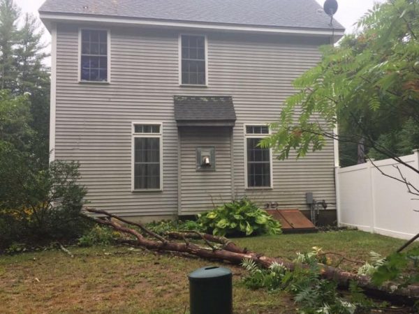 storm cleanup in Derry NH where a tree had fallen into a customer's yard
