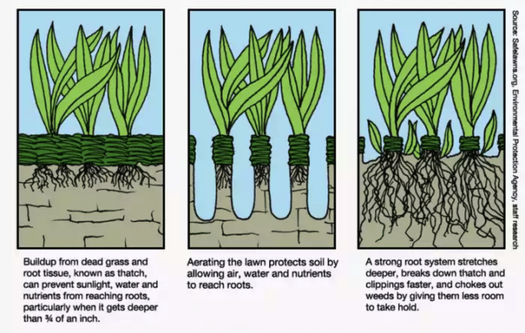 informative diagram that shows how aeration in manchester nh works