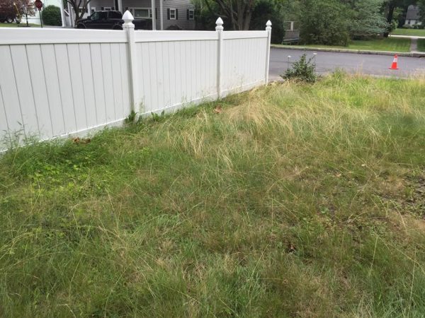 Manchester NH Landscaping and Fall Clean Up job, here's what the lawn looked like before we started doing the maintenance