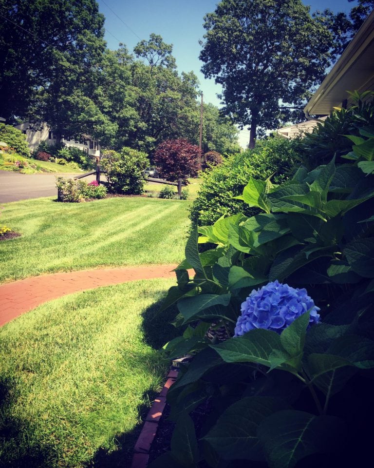 A & J Lawn Care Recent Manchester NH Lawn Care Projects