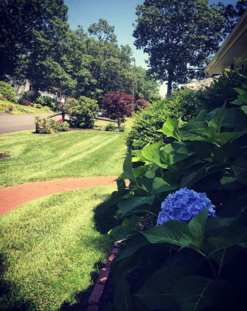 Derry NH Gardening Services