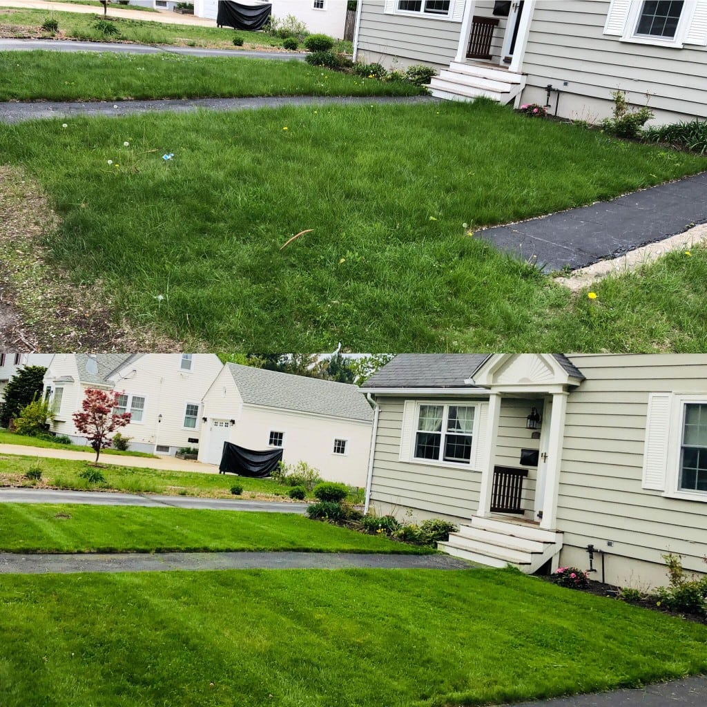 Before and after shot of grass trimming in Manchester NH. Top photo is before, and bottom is after. Photos are of the home from the right side. Mulch is also freshly laid around flower beds along front of home.