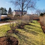 Another photo of a beautiful backyard landscaping in Manchester NH, including installed shrubs, trees, shed, lawn mowing, mulching and landscaping.
