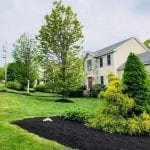 One of our Manchester NH landscaping clients' homes, showing the front garden from the road, including the trees, shrubs, and fresh dark mulch.