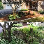 This is a before and after shot of a project our landscaping company in manchester nh accomplished during the first day of this project. This image shows fresh mulch and a clean garden bed in front of the home. The bottom photo shows what it looked like before.